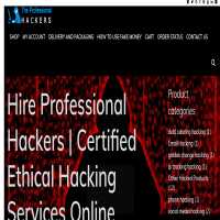 The Professional Hackers