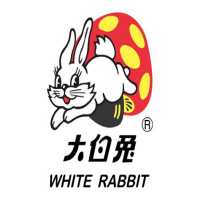 White Rabbit - Hacking Services